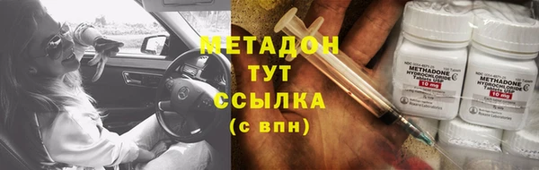PSILOCYBIN Белокуриха