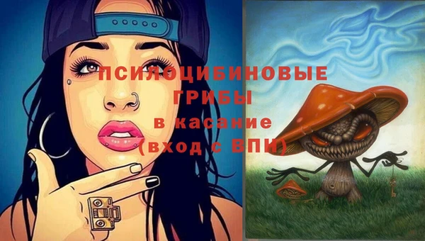 PSILOCYBIN Белокуриха