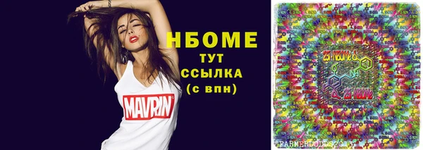 индика Балабаново