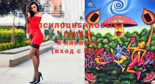 PSILOCYBIN Белокуриха