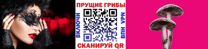 Купить где  Алзамай  Псилоцибиновые грибы прущие грибы 