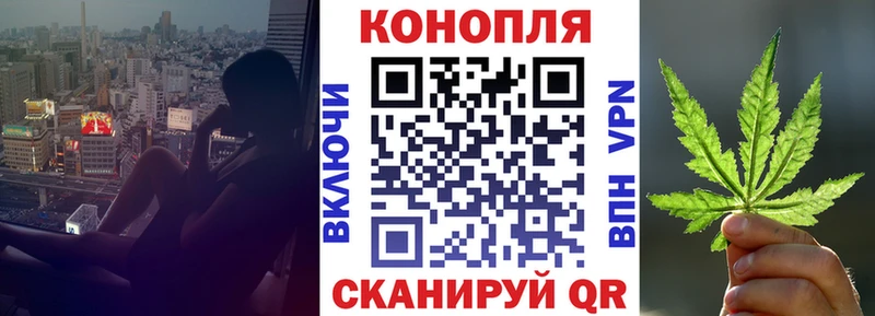 Купить  Алзамай  Шишки марихуана сатива 